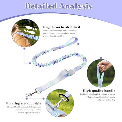 Dog Leash for Small to Medium Dogs, Shock Absorbing Dog Leashs, Dog Walking Leash, Dog Training Leashs, Ombre Color， 4-5.5 Feet(Violet-Green Ombré) - color: Violet-Green Ombré