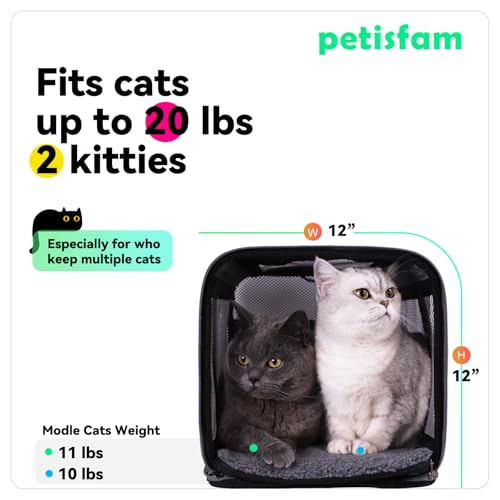 Soft Pet Carrier Bag for Cats and Puppy Under 20 lbs. Sturdy, Safe, Comfortable and Lightweight - color: Grey