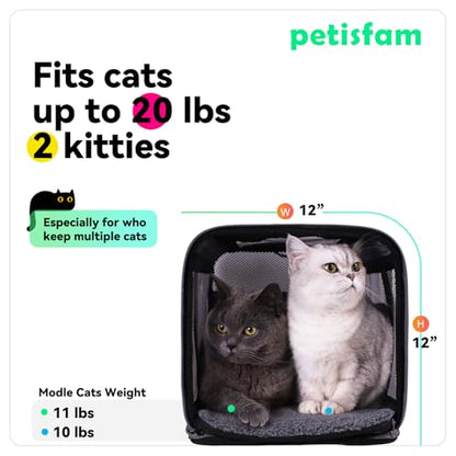 Soft Pet Carrier Bag for Cats and Puppy Under 20 lbs. Sturdy, Safe, Comfortable and Lightweight - color: Grey