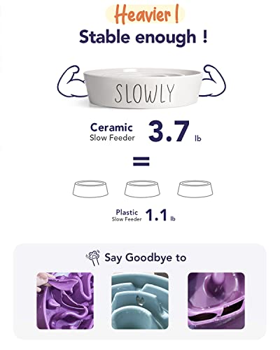 LE TAUCI PET Ceramic Slow Feeder Dog Bowl, 3 Cups Maze Dog Food Bowl for Medium/Large Dogs – Non-Slip White Pet Dish, Cute Puzzle Design to Slow Fast Eaters - color: White, size: L-3 Cups