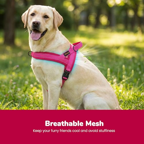 Didog No Pull Dog Harness with Breathable Mesh Padded,Reflective & Quick Fit Light Weight Dog Strap Vest Harness,Easy for Walking Training (L:Chest 26-32", Mesh-Hot Pink) - color: Hot Pink, size: L: Chest 26-32", Fit 50-80 lbs