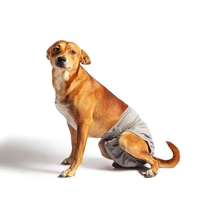 rocket & rex Washable Reusable Female Dog Diapers with Snaps (X-Large, 3ct) | Adjustable for a customized, snug fit. Includes liner pocket for extra absorbency. Guaranteed for 300 washes. - size: Extra Large