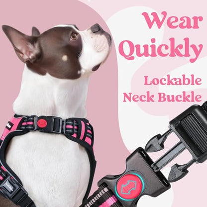 rabbitgoo Dog Harness Small Sized, No Pull Easy On & Off with 3 Buckles Pet Harness, Adjustable Soft Walking Vest with 2 Clips and Handle, Reflective for Small Dogs, Rose Pink, S - color: Rose Pink, size: Small