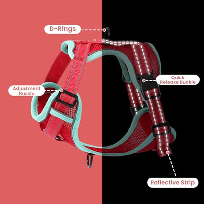 No-Pull Dog Harness with Dog Leash Breathable Mesh Adjustable Soft Padded Pet Vest Reflective for Small/Medium/Large Dogs Walking, Training - color: Red, size: L