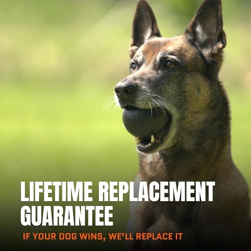 Monster K9 Scout Ball | Virtually Indestructible. Lifetime Guaranteed. | VULCRON™ Natural Rubber | Durable Dog Toy for Aggressive Chewers | Tough, Heavy Duty | Medium & Large Breed, 3" Pack of 2 - size: 2-Pack