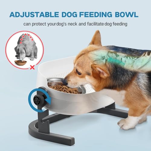 All for Paws Elevated Dog Bowls, Stainless Steel Food & Water Bowls, Height Adjustable Raised Cat Feeder Mess Proof Pet Feeding Bowls for Small to Large Size Dogs - size: Large