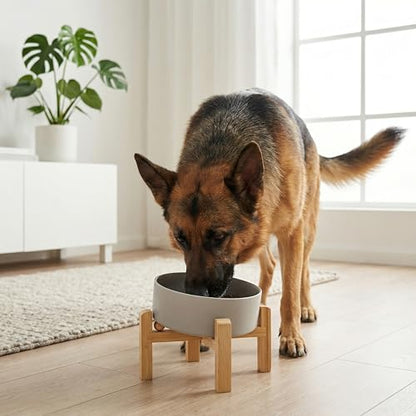 hjn Elevated Ceramic Dog Bowl 15°Slanted Raised Dog Bowl with Bamboo Stand for Small Medium Dogs and Cats, Pet Feeder -7.6-Cup (1800ml)-Gray - color: Misty Gray, size: 7.6Cup