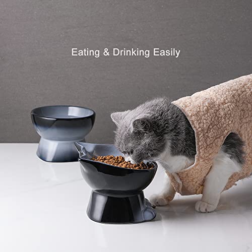 Nihow Ceramic Raised Cat & Dog Bowls: 5 Inch Elegant Gray (2 PC), Protecting Pet's Spine, Feeding & Watering Supplies, Modern Design, Anti Vomiting, Whisker Friendly - color: Gray, size: 4.5 OZ+8 OZ