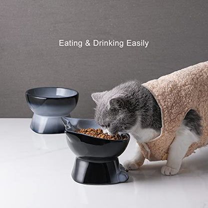 Nihow Ceramic Raised Cat & Dog Bowls: 5 Inch Elegant Gray (2 PC), Protecting Pet's Spine, Feeding & Watering Supplies, Modern Design, Anti Vomiting, Whisker Friendly - color: Gray, size: 4.5 OZ+8 OZ