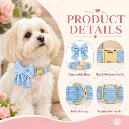 Dog Collar and Leash Set with Bowtie, Soft & Cute Puppy Collar, Cotton Puppy Collar with Adjustable Metal Buckle for Small, Medium Dog (Blue, Size S: Neck 10"-16") - color: Blue, size: S: Neck 10"-16" Leash 5 FT