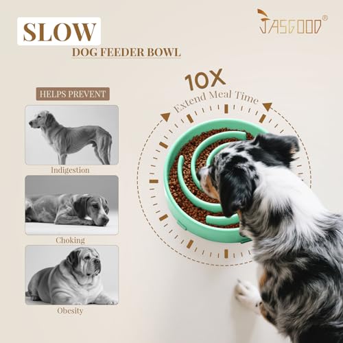 JASGOOD Slow Feeder Dogs Bowl for Medium Dogs,Anti-Gulping Pet Slower Food Feeding Bowls Stop Bloat,Preventing Choking Healthy Design Dogs Bowl, O-Pea Green - color: Mint Green