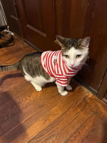 Turtleneck Dog Shirt Cute Doggie Embroidery Super Soft Dog Sweatshirt Stretchy Striped Puppy Pullover for Cats Small Medium Large Dogs (Red Striped, Medium) - color: Red Striped, size: Medium