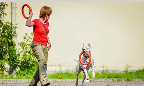 Dog Disc Toy Flying Ring Pets Flying Disc Dog Chew Toys Non-Toxic Fitness Ring Dogs DT103 Red 10.8 inch - color: Red, size: 10.8 inch