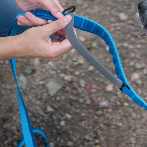Hands Free Dog Leash - Waist Leash for Walking and Hiking with Medium and Large Dogs, Adjustable 4 to 6 FT Bungee Lead with Traffic Handle by Nuvuq (18-120 lbs, Blue) - color: Blueberry Blue