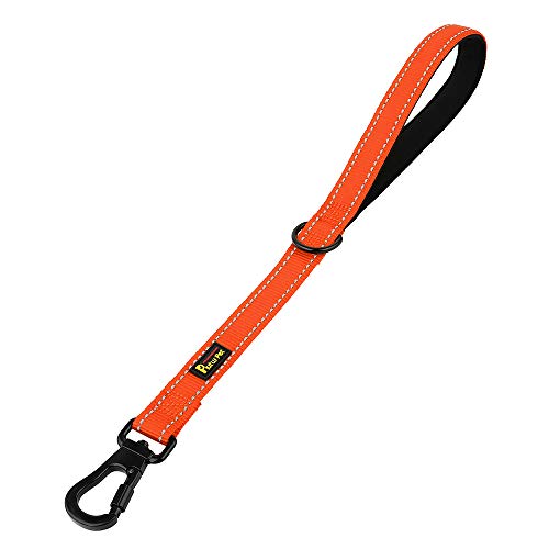PLUTUS PET Short Training Dog Leash with Padded Handle for Medium Large Big Dogs,18 Inch Heavy Duty Strong Traffic Dog Leash with Carabiner Clip for Climbing Walking or Guiding Blind（18”，Orange - color: Orange, size: 18 Inch (Pack of 1)