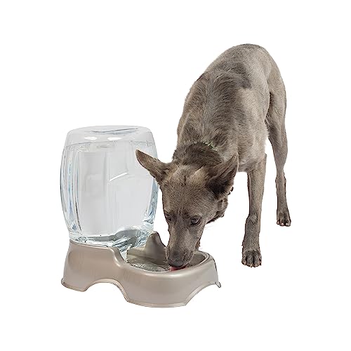 Petmate Pet Cafe Cat and Dog Water Dispenser - Water Bowl for Cats and Dogs, USA Made, 3 GAL, Pearl Tan - color: Pearl Tan, size: 3 GAL