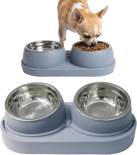 Non-Slip Tilted Double Dog & Cat Bowl with Removable Inserts, Anti-Tip Dual Food and Water Feeder for Small Dogs and Cats, Easy to Clean (Grey) - color: Grey