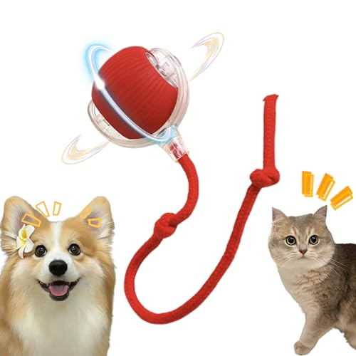 Interactive Cat Toy,Electric DogBall Toy,Cat Toys for Indoor Cats,Chewie Viral Dog Ball,Adjustable Sports RollingToy,Electric Rolling Ball Christmas Birthday Gift for Pets.(Red) - color: Red