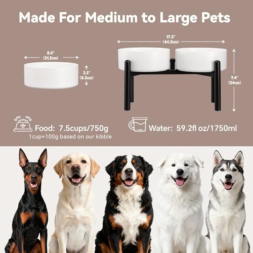 Dog Bowls Elevated - Ceramic Raised Dog Bowl with Non Slip Steel Stainless Stand - No Spill and Heated Feeding Station - Food and Water Dish Set for Medium to Large Pet - Each Holds 7.5 Cups – White - color: White, size: 2 Bowls - 7.5 Cups Each