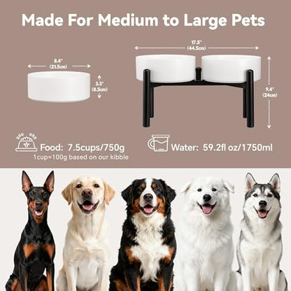 Dog Bowls Elevated - Ceramic Raised Dog Bowl with Non Slip Steel Stainless Stand - No Spill and Heated Feeding Station - Food and Water Dish Set for Medium to Large Pet - Each Holds 7.5 Cups – White - color: White, size: 2 Bowls - 7.5 Cups Each