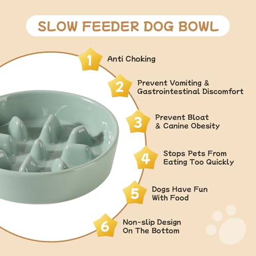 Havniva 6.1” Raised Slow Feeder Dog Bowls Set, 0.9 Cups Ceramic Slow Feeder Dog Bowl and 6.1” Dog Water Bowl with Elevated Wooden Stand Puzzle Dog Food Bowl for Small Dogs Anti-Gulping & Anti-Choking - color: 2 x Light Green+Stand-C, size: 6.1inch