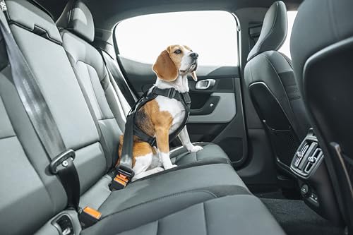Thule Cappy Dog Harness L - Crash-Tested for Safety - Seatbelt passthrough - Adjustable & Easy to Clean - Padded Breathable mesh Panels - Leash Loop - Step-in Design - size: Large