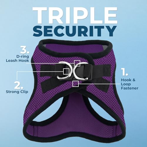 Best Pet Supplies - All Weather Mesh/Plush, Reflective, No Pull Harness for Small, Medium Dogs, Cats - Secure with Hook & Loop Fastener, Buckle, Double D-Rings - Purple/Black Trim, S - color: Harness (Purple/Black Trim), size: S (Chest: 14.5 - 16")
