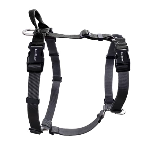 Non-Restrictive No Pull Dog Harness, Neck Buckle Design, Easy Walk Freedom Harness Keep Balance, Six Points Adjustment, for Large Dogs Chest(25-35 inches) Black - color: Black/Grey, size: L