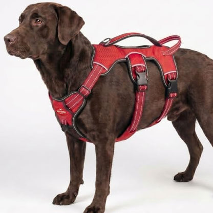 Tuff Pupper Escape Proof No Escape Dog Harness | 5 Point Adjustable Fit Harness for Dogs | Padded Dog Harnesses | Handle Dog Lift Harnesses - color: March Red, size: X-Large: 32-40 Inch Chest