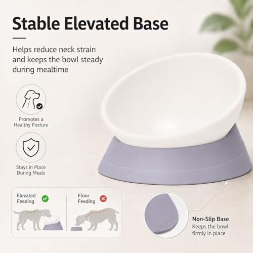 DZXZY French Bulldog Food Bowl, Slanted Tilted Pug Dog Bowl,Non-Slip Pet Feeder for Frenchie, Shih Tzu, Flat Faced Small Dogs, Puppies,Cat (Gray, M -2 Cup) - color: Gray, size: M -2 Cup