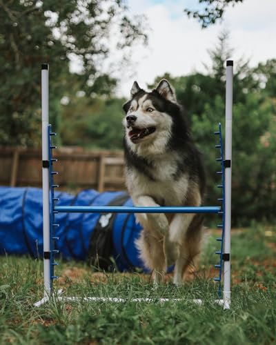 Better Sporting Dogs Premium Starter Dog Agility Set w/Safety-Focused Features | 5Pc Agility Kit | Bar Jump w/Cup Strips | Breakaway Tire Jump | Weave Poles | 10’ Tunnel & Sandbags | Pause Box