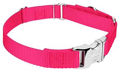 Country Brook Petz - Martingale Dog Collar - Heavy Duty Nylon Adjustable Martingale Dog Collar with Premium Buckle for Small Medium Large Breeds (5/8 Inch, Extra Small, Hot Pink) - color: Hot Pink, size: Extra Small (Pack of 1)