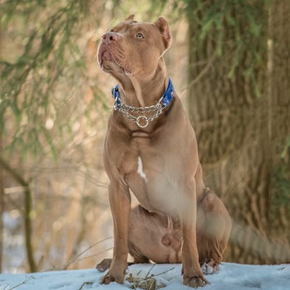 Reflective Martingale Dog Collar - Cartoon Pattern Adjustable No-Pull Training Collar with Safe Choke Chain Design for Medium, Large & XL Dogs(Cartoon M) - color: 11, size: M(Neck12"-17")