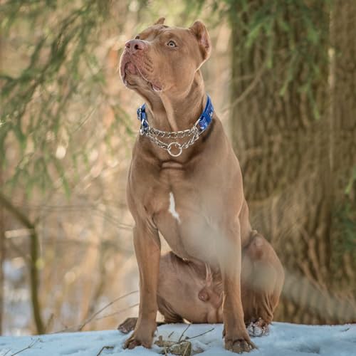 Reflective Martingale Dog Collar - Cartoon Pattern Adjustable No-Pull Training Collar with Safe Choke Chain Design for Medium, Large & XL Dogs(Cartoon XL) - color: 11, size: XL(Neck21"-27")
