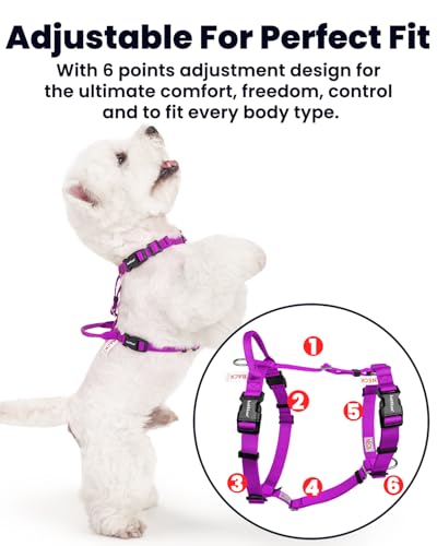 Non Restrictive Dog Harness, Purple, X-Small | Sewn-in Instructions Labels, Easy Walk, No Pull, 2 Clips for Back/Front, Neck Buckle - color: Purple, size: XS
