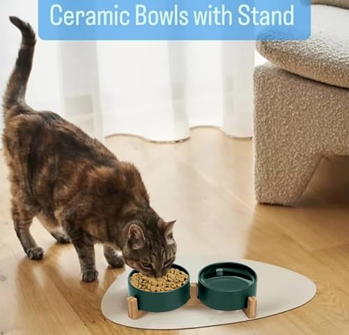 Ceramic Cat and Small Dog Bowl Set – Modern Indoor Small Size Pet Food and Water Bowls with Wood Stand – Non Slip Puppy Sized Feeding Station with Double Dishes (Green) - color: Green