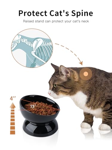 ABRUTY Cat Water Bowl, 16 OZ Ceramic Elevated Cat Bowls, 15° Tilted and Raised Pet Food Dish, Anti Vomiting Protect Pets' Spines and Whisker Fatigue - color: Black, size: 1 Pack
