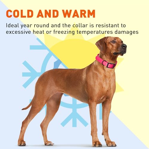 Dogline Biothane Waterproof Dog Collar Strong Coated Nylon Webbing with Black Hardware Odor- Proof for Easy Care Easy to Clean High Performance Fits Small Medium or Large Dogs, Passionfruit Pink