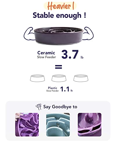 LE TAUCI Slow Feeder Dog Bowls Ceramic, 3 Cups Slow Feeding Dog Bowl Medium Large Breed, Pet Bowl for Fast Eaters, Puzzle Pet Dishes, Maze Purple - color: Maze Purple, size: L-3 Cups