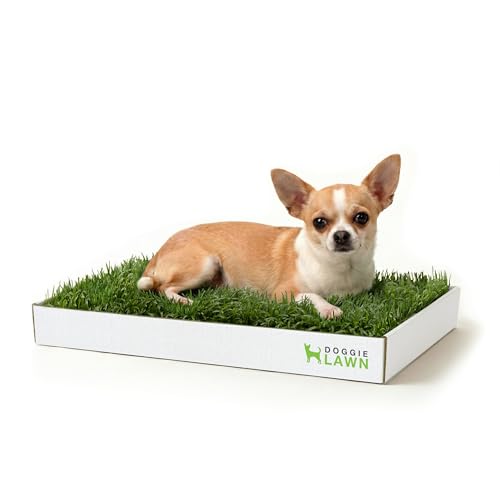 DoggieLawn Real Grass Puppy Pee Pads- 24 x 9 Inches - Perfect Indoor Litter Box for Dogs - No Mess, Easy-to-Use - Potty Training for Pets - Disposable Bathroom with Real Living Grass - size: Mini 24x9 inches