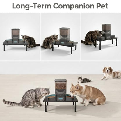 Raised Automatic Cat Feeder Stand for Double Bowl Feeders, Carbon Steel 14.57 x 9.25 in, 3 Adjustable Heights 3.94-5.5 in, Non-Slip, Fits Feeders & Water Dispensers, No-Drill (Black) - color: Black