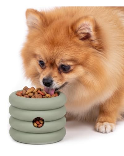 Should We Go? Interactive Dog Enrichment Toy with Freezer Plug, BPA-Free Silicone Puzzle Dog Freeze Bowl & Treat Dispenser for Mental Stimulation, Ideal for Kibble & Frozen Licks, Fits 3 oz, Small - size: Small