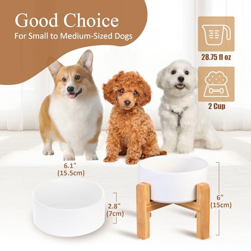Ceramic Elevated Raised Cat Bowl with Wood Stand No Spill Pet Food Water Feeder Cats Small Dogs - color: White, size: Medium