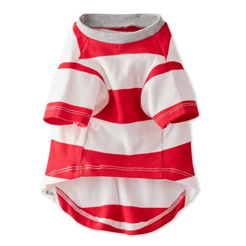 Pet Passion 100% Organic Cotton Dog Short Sleeve T-Shirt Pet Tees for All Breeds, Candy Cane, Medium (20-45 lbs) - color: Candy Cane, size: Medium (20-45 lbs)
