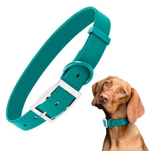 Wisedog Small Puppy Collar, Emerald Green, XS 7"-10" × 1/2" | Soft Rubber Coated Webbing, Cute Pet Collars, For Small Dogs Cats - color: Emerald Green