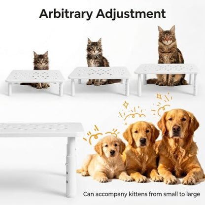 Raised Automatic Cat Feeder Stand for Double Bowl Feeders, Carbon Steel 14.57 x 9.25 in, 3 Adjustable Heights 4.13-5.71 in, Non-Slip, Fits Feeders & Water Dispensers, No-Drill (White) - color: White