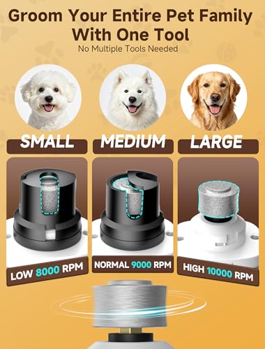 Dog Nail Grinder, Electric Dog Nail Trimmer Quiet with 2 LED Lights, 3-Speed Pet Nail Grinder for Dogs & Cats, Rechargeable 2000mAh Nail Grinder for Small Medium Large Dogs with Light, White - color: White