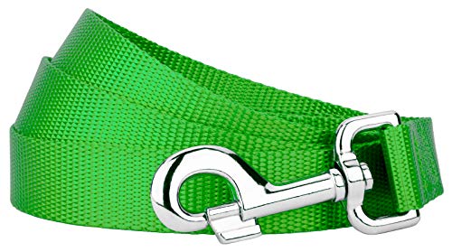 Country Brook Petz - Vibrant 17 Color Selection - Heavyduty Doublehandle Nylon Leash (6 Foot, 3/4 Inch Wide, Hot Lime Green) - color: Hot Lime Green