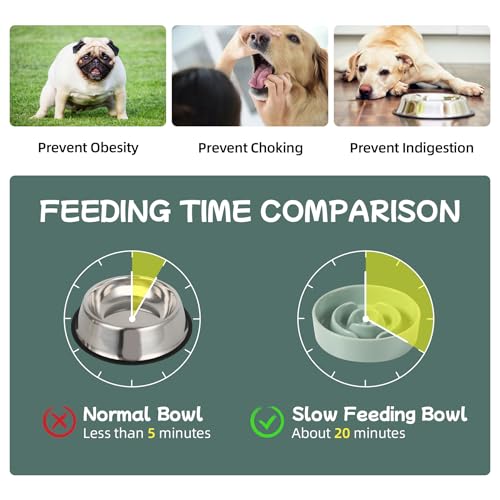 Havniva Ceramic Slow Feeder Dog Bowls, 0.9 Cups Dog Bowl Slow Feeding for Small Breed, 6.1inch Puzzle Dog Food Bowl Slow Feeder Non-Slip Anti-Gulping and Anti-Choking Reduces Bloating - color: 1 x Light Green-A, size: 6.1inch-New