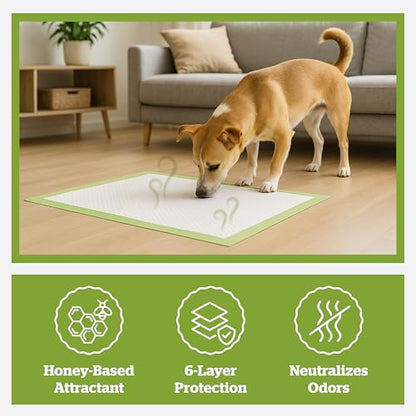 Pogi’s Dog Pads with Sticky Tabs – Large, Super Absorbent, Odor Blocking, 20-Count (24x24in) - size: Large - 24 x 24"